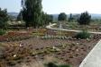 Botanical garden in Kielce kz04