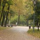 Park miejski w Kielcach (107) (jw14)