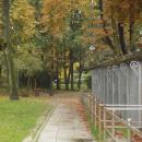 Park miejski w Kielcach (84) (jw14)