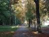 Park miejski w Kielcach (1) (jw14)