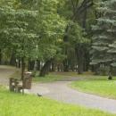 Park miejski w Kielcach (89) (jw14)