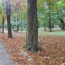 Park Miejski w Kielcach (56) (jw14)