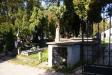Cmentarz Stary-Asirek,5