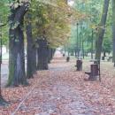 Park Miejski w Kielcach (43) (jw14)