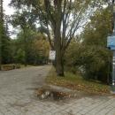 Park miejski w Kielcach (109) (jw14)