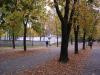 Autumn in the city park (Jesień w parku miejskim) - panoramio