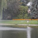 Park Miejski w Kielcach (29) (jw14)