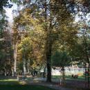 Park miejski im. S. Staszica w Kielcach (2) (jw14)