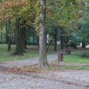 Park Miejski w Kielcach (75) (jw14)